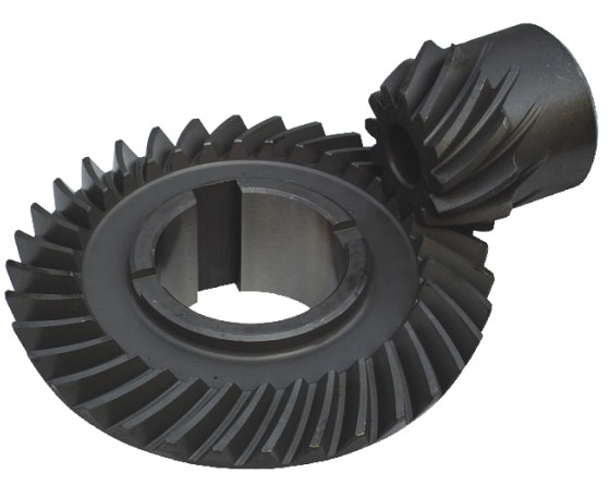 Spur Gear Helical Gear Bevel Gear